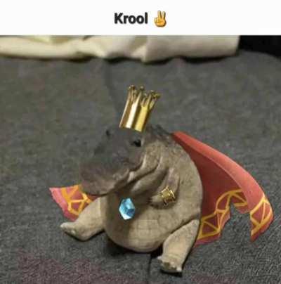 Krool ✌️