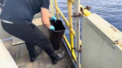 Feeding sharks lurking under an offshore oil rig