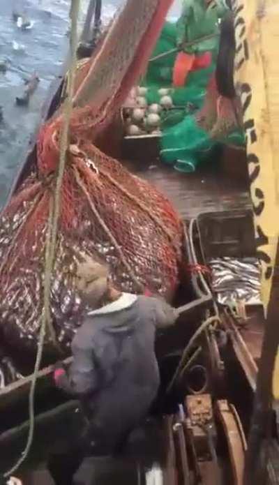 Russian fishing crew get a surprise catch