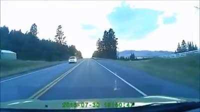 Hitting a deer at 120 km/h