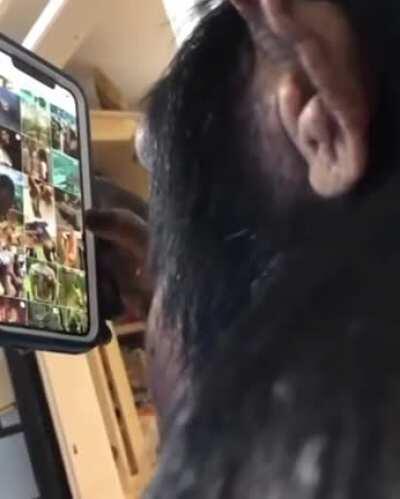 a smartphone using ape