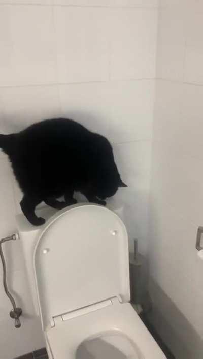 She likes watching the swirly toilet water, not even hiding the flusher can stop her