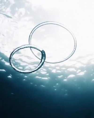 Underwater bubble rings connecting and breaking apart.