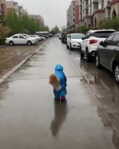 Good boy in his rain gear