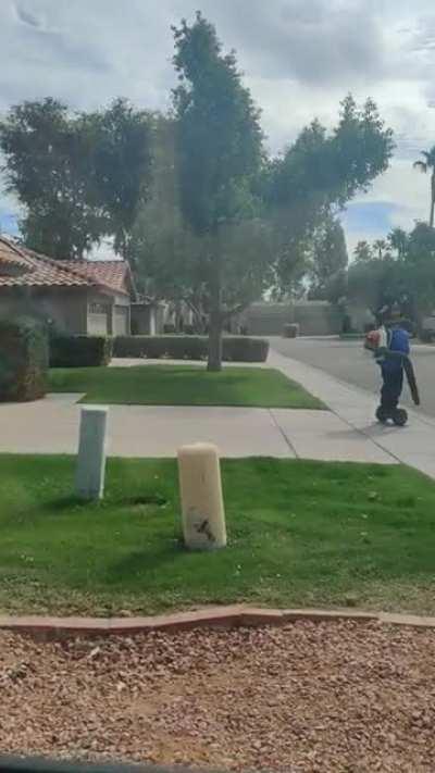 This guy blowing the leaves in my neighborhood, what a boss