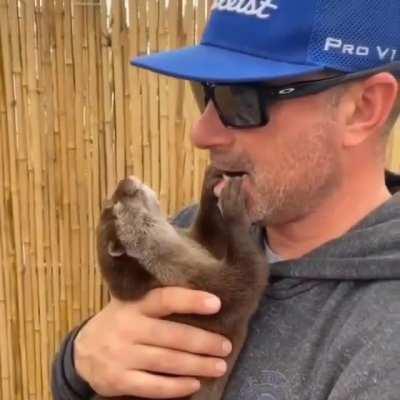 Otter and human