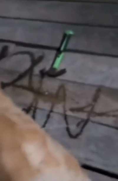 Dumbass wunky signature