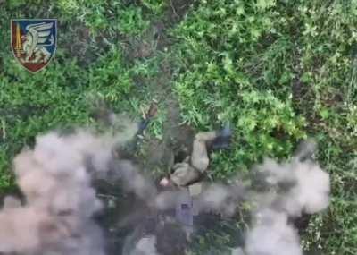 Ukrainian Drone drops munitions on russian soldiers in Bilohorivka region