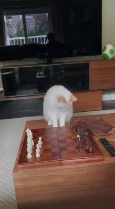 touch tha pawn