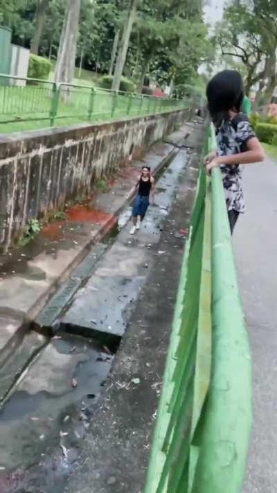 Rescuing a baby chick in Yishun