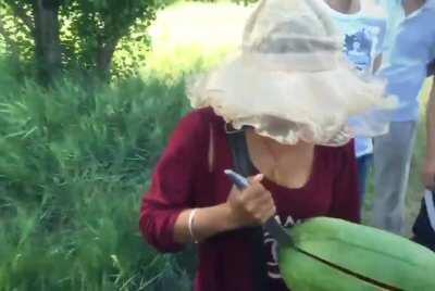 Mongolian way of cutting watermelon