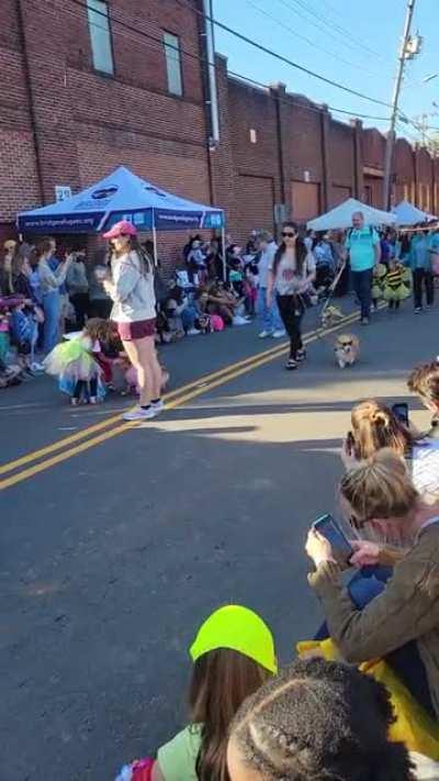 Our town had a Corgi Parade today!