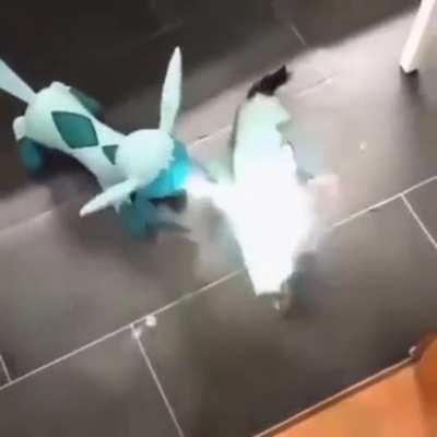 MeAN GlAcEoN FReEzes PoOr iNoCeNT cAt