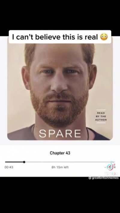 Prince Harry reveals all in his new book