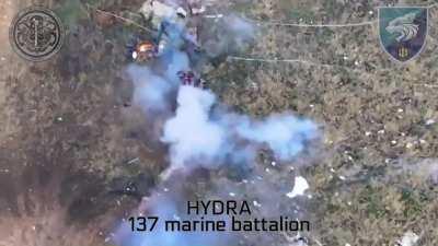 137 marine battalion AFU destroys russians with dron drops