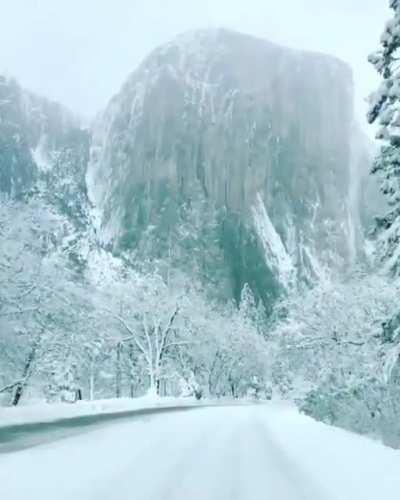 🔥 Yosemite National Park 🔥