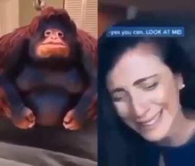 MONKE OOH OOH AH AH