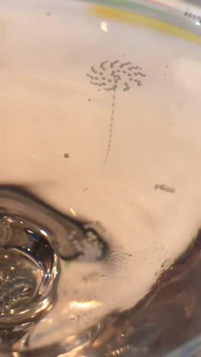 The bubbles forming on the surface of a glass of sparkling wine are in perfect circular order