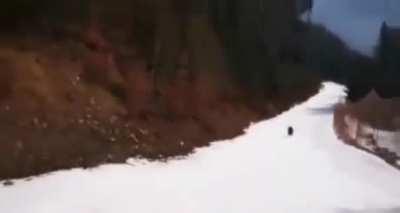 Man chased by bear while  skiing in Romania.