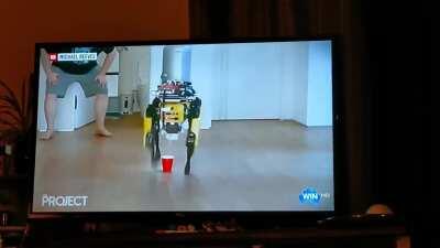 Aussie tv news shows Michael's latest creation