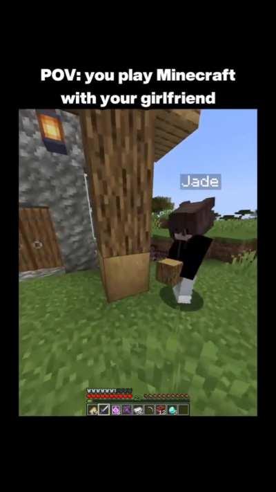 POV: You play Minecraft with your boyfriend/girlfriend