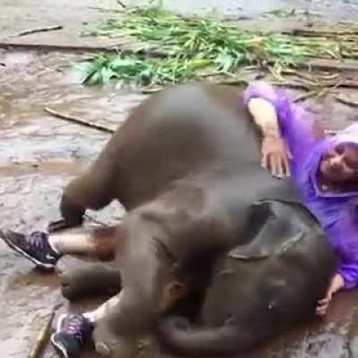 I never seen before elephant love with human and the way she laugh I love it