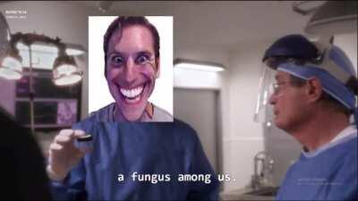 when the fungus is sus