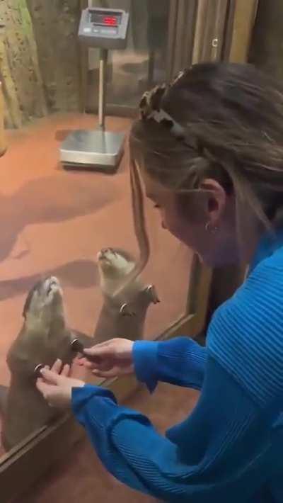 Zoo has hole, so you can hold otters paws