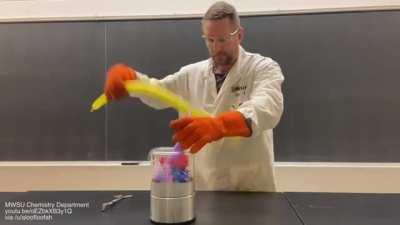 Dipping balloons in liquid nitrogen (for Charles's law demonstration)