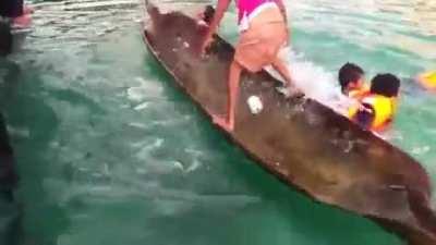 Little Girl Unswamps a Canoe