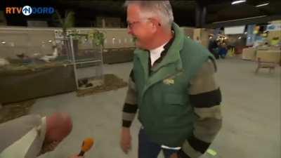 Dutch farmer laughs like chicken