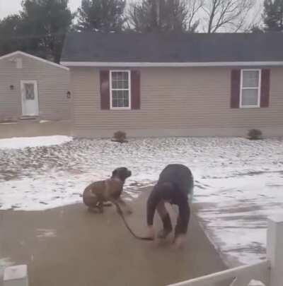 WCGW if I walk my dog on an icy driveway wearing rubber boots?