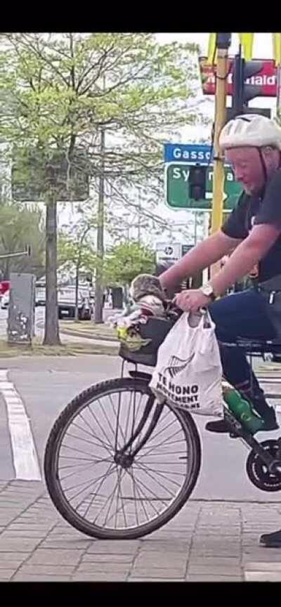 Cute dog on a bike