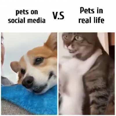 Social media V.S real life