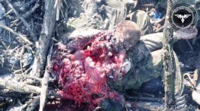 Drone strikes soldier in Ukraine. No unit info. 