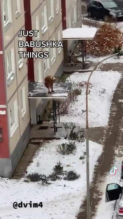 Just babushka cleaning roof