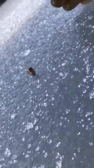 Bullets spinning on ice .