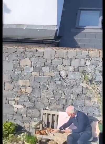 Older Guy Sitting Outside On A Bench And Showing Love For His Doggo