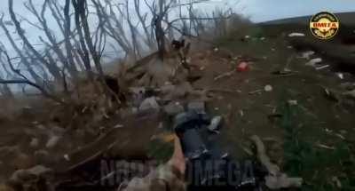 Assault on a Russian position in the Zaporizhzhia direction through the eyes of soldiers of the 1st Separate Detachment of the Omega Special Forces Center