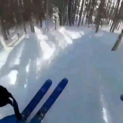 HMFT after I ski down this forest full speed