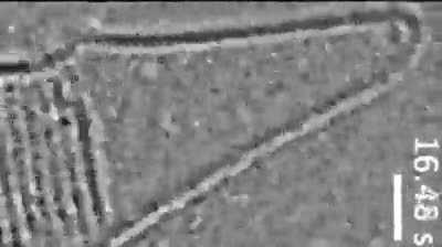 This is the first imagery we have of tiny cuboid crystals made of tens of molecules of NaCl emerging from the chaotic mixture of separate sodium and chloride ions. In other words, the first-ever atomic resolution video of salt crystals forming in real tim