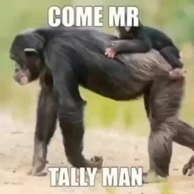 COME MR MONKE MAN