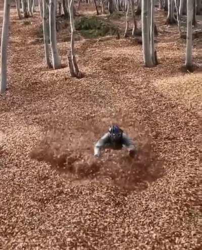 Swishing trough the leaves