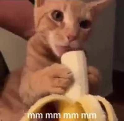 Banana Wunk (sorry if repost)