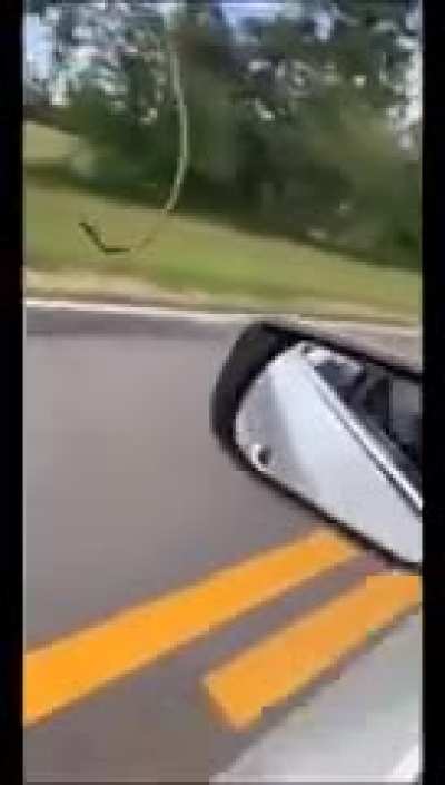 Guy throws snake into a car