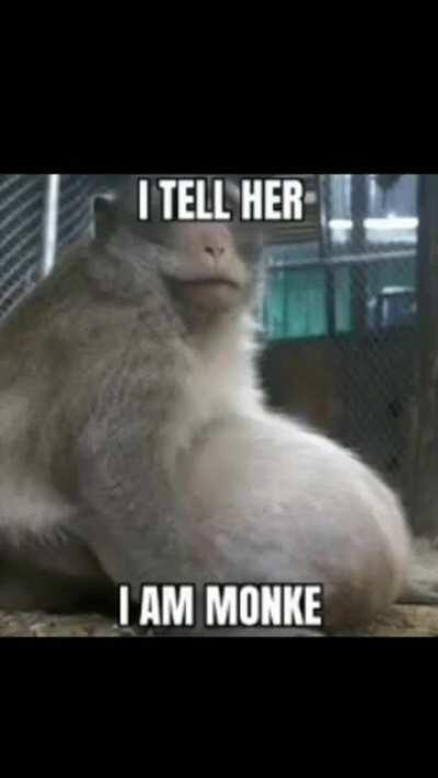 Monke