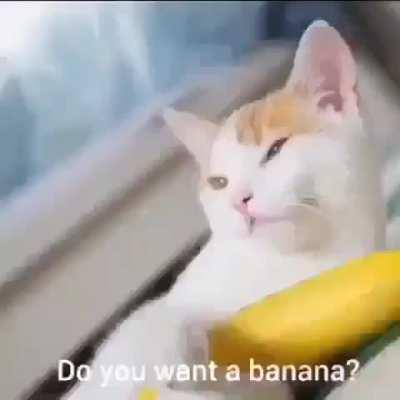 Banana Man