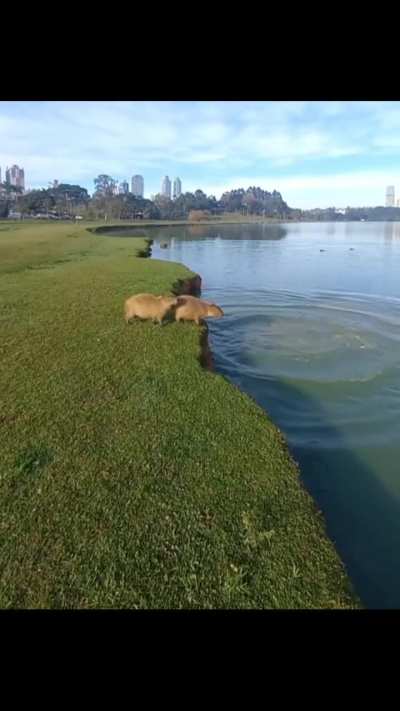 Line up to cross the lake