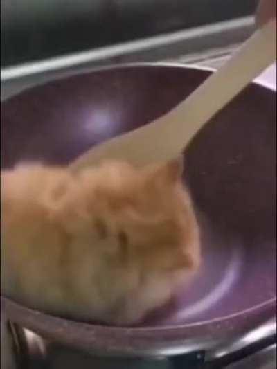 siCK fUck coOKs InnOCEnT cat ALive