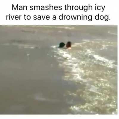 Smashing through a frozen lake to save a drowning dog